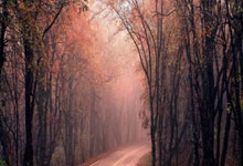 Websea合约保险是什么？