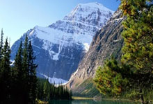 Websea合约保险是什么？