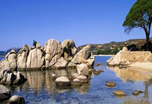 奖励节点是什么？奖励节点如何激活和赔付？