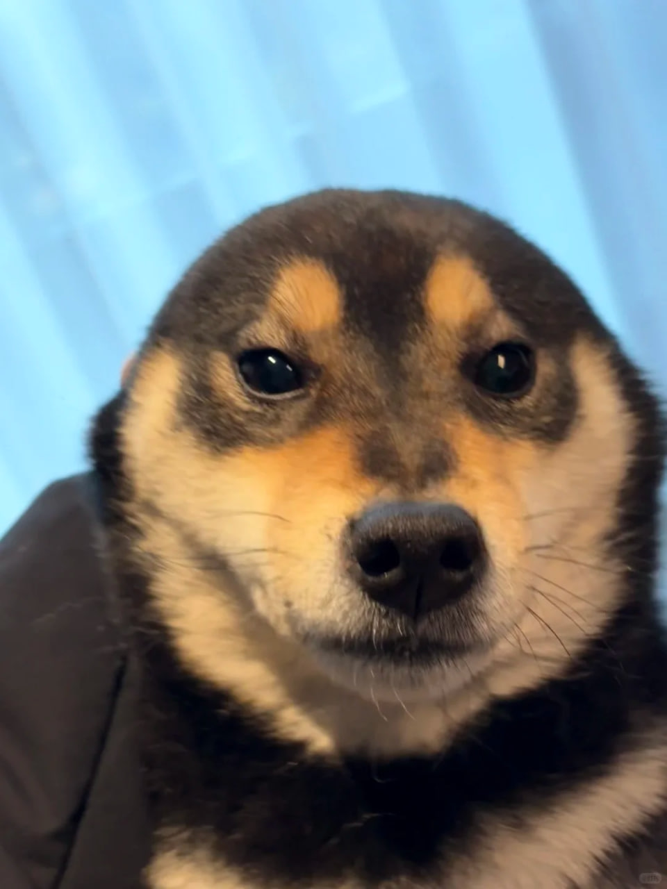 Ethereum surges on upgrade news!