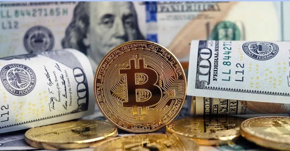 为什么只有少数人在加密市场中幸存？