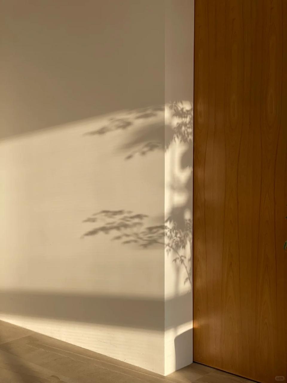 2026-01-23 15.53.58.jpg 2026-01-23 15.53.58.jpg