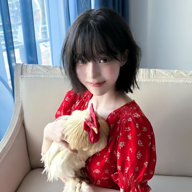 webses返佣到底是什么？为什么这么多人推？（纯科普文）